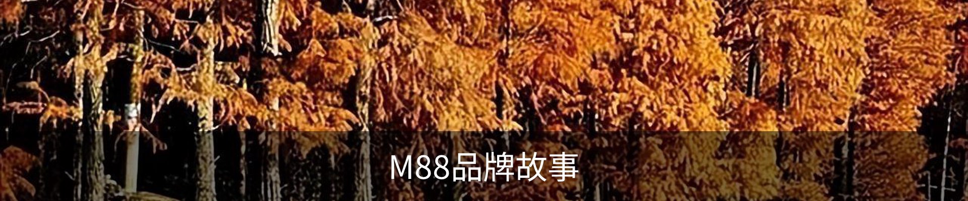 M88品牌故事